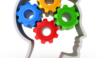 brain-cogs